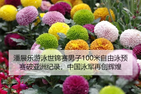 潘展乐游泳世锦赛男子100米自由泳预赛破亚洲纪录，中国泳军再创辉煌
