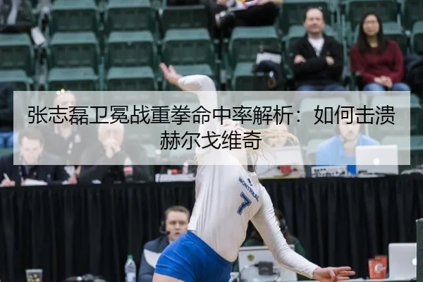 张志磊卫冕战重拳命中率解析：如何击溃赫尔戈维奇
